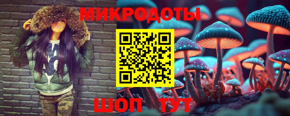 как найти закладки  Галлюциногенные грибы прущие грибы  Галлюциногенные грибы Psilocybe  Вход с VPN  Ефремов 