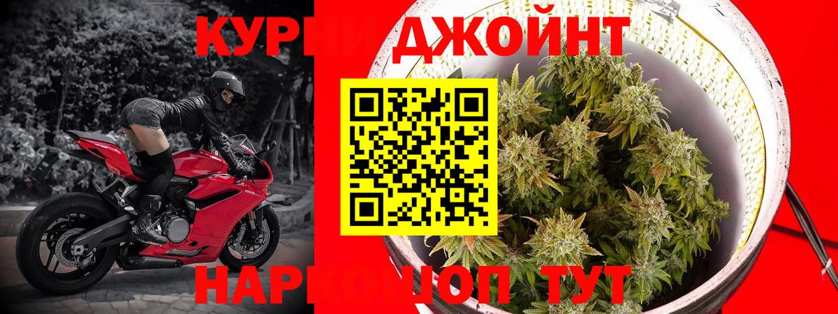 Ефремов  Бошки Шишки индика  Вход с VPN  Канабис Amnesia 